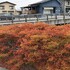 拠点2の秋（2026年）
