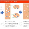 糖質制限のメカニズム　糖質は人が太るただ一つの原因