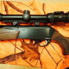Swarovski Z8i SR rail + Recknagel QD Mount