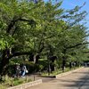 葉桜や空の青さはかわらねど