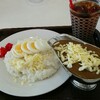 チキンカレー(ポケットマニー)