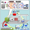 水素を多く含むアンモニア