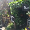 喫茶店・カフェ巡り「TALBOT」in名古屋市昭和区桜山