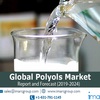 Polyols Market, Opportunities, Size, Share, Revenue, Competitive Analysis, Demand and Growth by 2024 