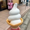 「曹洞宗大本山 永平寺」 福井県吉田郡永平寺町志比