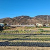 横瀬町あしがくぼ氷柱