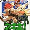 「魔法先生ネギま!」２０巻