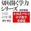 あいてしまった数学の大きな穴