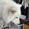 疲れと眠気の日常