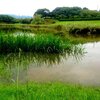 雨あがり。