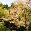 小仏～高尾山・３匹の山おっさん