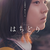 韓国映画「はちどり」（2018）