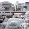 週末の大雪「10年に一度の寒波」の後