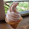 潮風に吹かれて　　ハマナスの丘公園