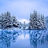 『冬の湖』