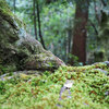 【2019年 伊勢志摩 観光】伊勢神宮ので癒しのひととき。&12月の週末。まだ間に合うおすすめ宿泊プラン。　