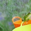 雨の日のランニング”シャワーラン”が快適になる！？　そんな方法とは！