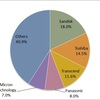 Memory Card Market Share in Japan, 2013