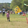 Kite Fest『凧揚げ祭り』に行ってきた