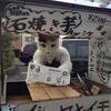 『猫の石焼きイモ屋さん』の事。