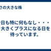 今日も特に何もなし・・・・大きくプラスになる日を待っています。