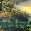 「🌳命の木」　　幸福の探究　　“光と影” 水彩画の魅力