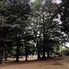 今朝は公園に人がいました