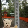 彼岸花が美しい「下鴨神社」の糺の森。28，29日に開催される「森の手づくり市」