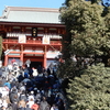 初詣（鶴岡八幡宮）