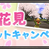 【FF11】「ヴァナでお花見」スクリーンショットキャンペーン　案内