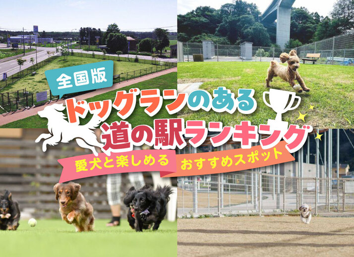 【全国版】ドッグランのある道の駅ランキング｜愛犬と楽しめるおすすめスポット