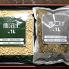サルナシの挿し木🌿