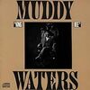 ブルースの神様『MUDDY WATERS』のアルバム【KING BEE】を紹介するよ