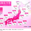 桜の開花予想　２０２４年