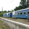 恐竜のカセキと鉄道のイセキ＠北海道