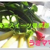 草餅＆ヨモギ団子　　4月野菜スイーツ倶楽部
