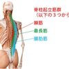 腰痛と骨盤職人