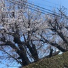 禅養寺＠前橋市山王町