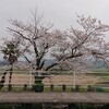 BEYOOOOONDS「眼鏡の男の子」ロケ地 2020年桜の咲く頃。