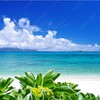 雑・日本の貧困を憂う