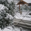 郡上八幡の雪のようすとモカさんのお気に入り