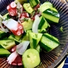 家庭菜園8月の収穫だより：上手くいかなかった夏野菜