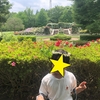 智光山公園で遊んできました