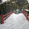 梅がほころぶ　　高岡古城公園