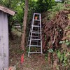 僕の方は井戸小屋の横の部分の垣根の上に