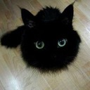 尾っぽ日和