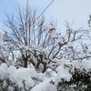 冬の地震!やね雪の重みで家が倒壊するかもと飛び起きた