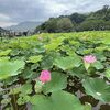 6月は雨の隙間ラン