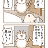 第18話「早く！早く！」猫漫画