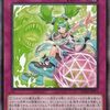 2025年のふりかえり【遊戯王】